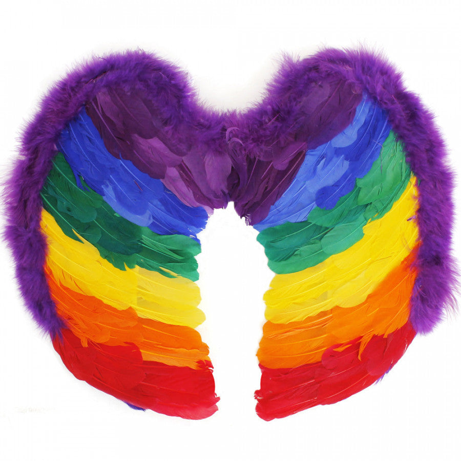 Rainbow Pride Angel Wings