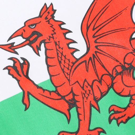 10 Wooden Wales Hand Flags