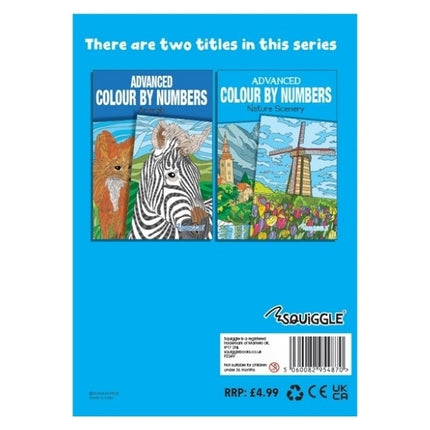 A4 Animals/Nature Advanced Colour by Numbers Book
