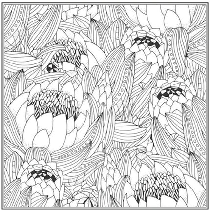 Peace Love Advanced Colouring Book