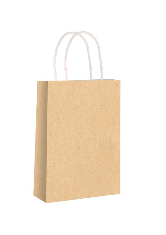 6 Kraft Brown Bags With Handles