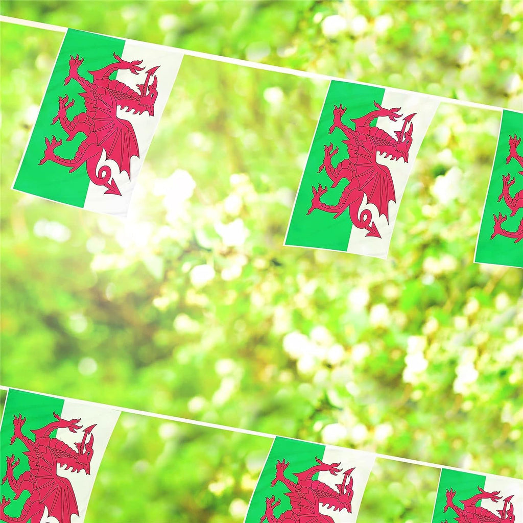 Wales Flag 10m Rectangular Bunting