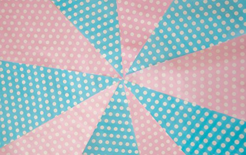 Pink & Blue Polka Dot 10m Triangle Bunting
