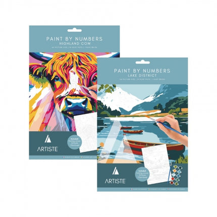 Advanced Paint by Numbers Kit