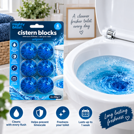 6 Blue Toilet Cistern Blocks