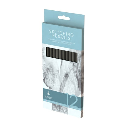 12 Artist 2H-8B Sketching Pencils