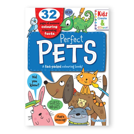 A4 Colouring Book Pets Bugs