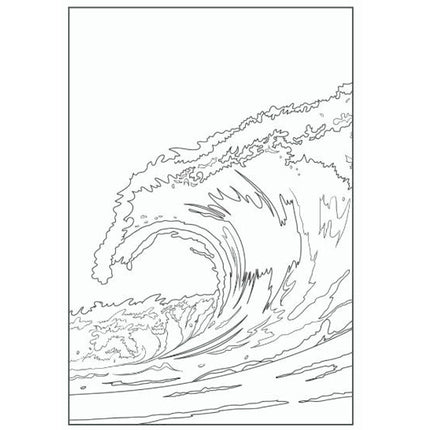 Patterns In Nature Advanced Colouring Book