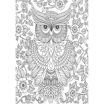A4 Animals/Birds Adult Colouring Book