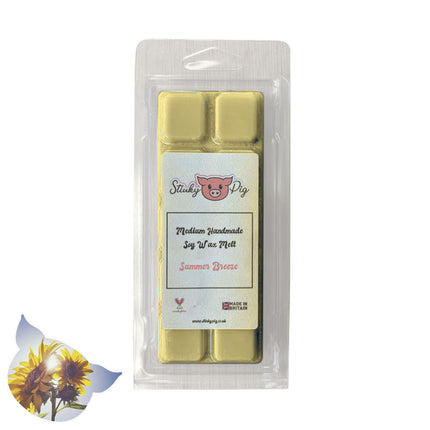 50g Wax Melt Clam - Summer Breeze