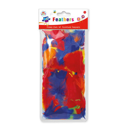 Assorted Coloured Feathers