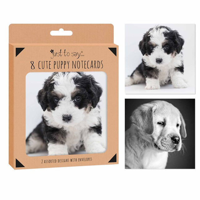 8 Puppies Notecards