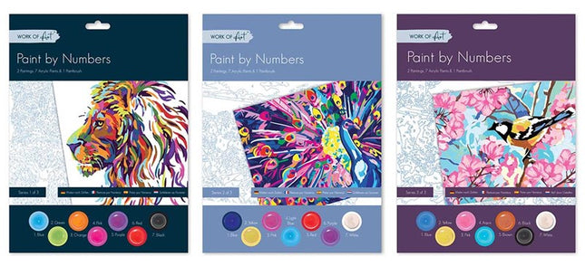 Paint By Numbers Adults