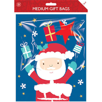 Christmas Medium Cute Gift Bags
