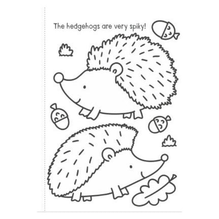 A4 My First Animals/Things That Go Colouring Book