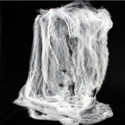 Spiders Web & 5 Spiders