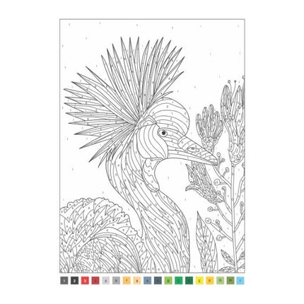 A4 Animals/Nature Advanced Colour by Numbers Book
