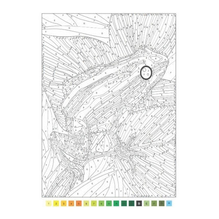 A4 Animals/Nature Advanced Colour by Numbers Book