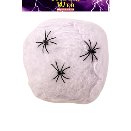 Spiders Web & 3 Spiders