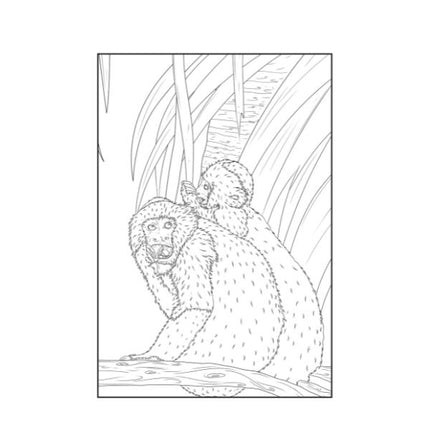 A4 Life in The Jungle/Ocean Advanced Colouring Book
