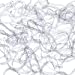 1000 Clear Elastic Bands