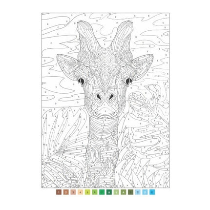 A4 Animals/Nature Advanced Colour by Numbers Book
