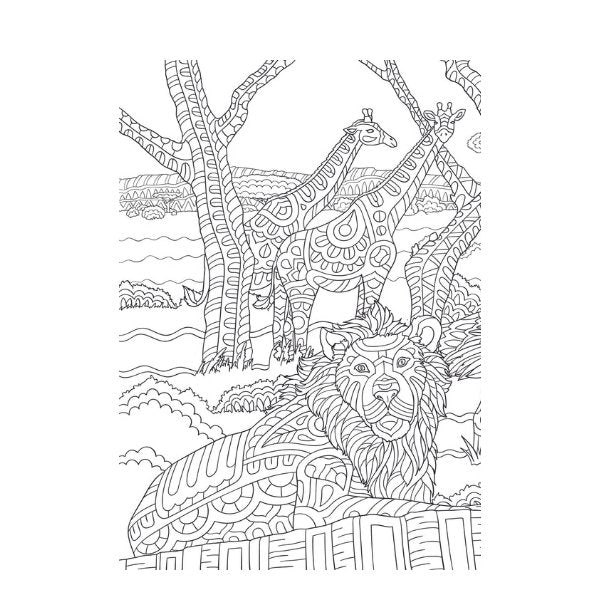 A4 Life on The Savannah Advanced Colouring Book