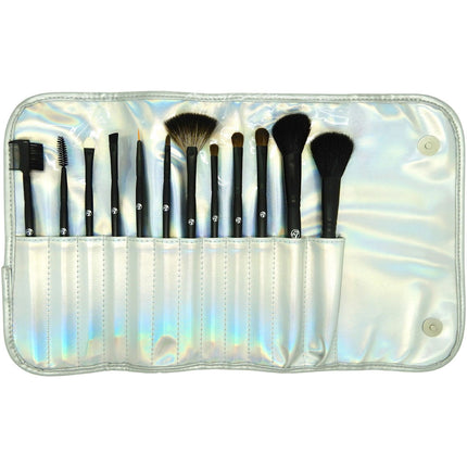 Professional 12 Piece Brush Collection