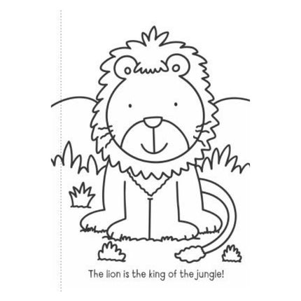 A4 My First Animals/Things That Go Colouring Book