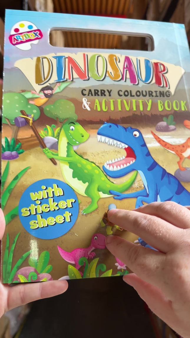 A4 Dinosaurs Carry Colouring Set