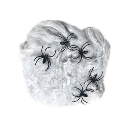 Spiders Web & 5 Spiders
