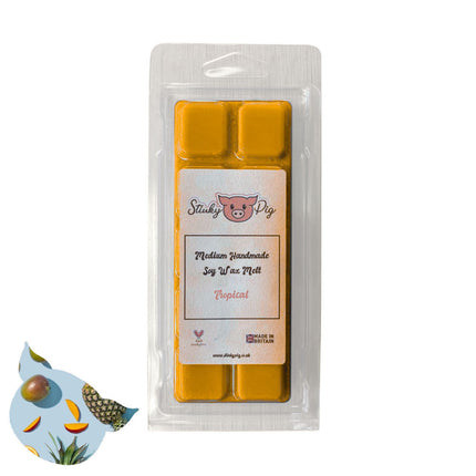 50g Wax Melt Clam - Tropical