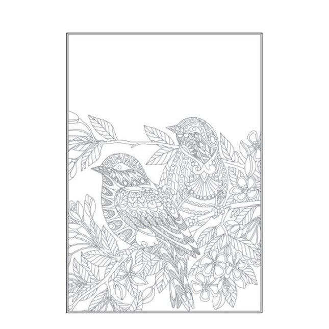 A4 Beautiful Butterflies/Birds Colouring Book