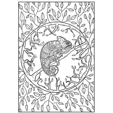 Peaceful/Tranquil A4 Advanced Colouring Book