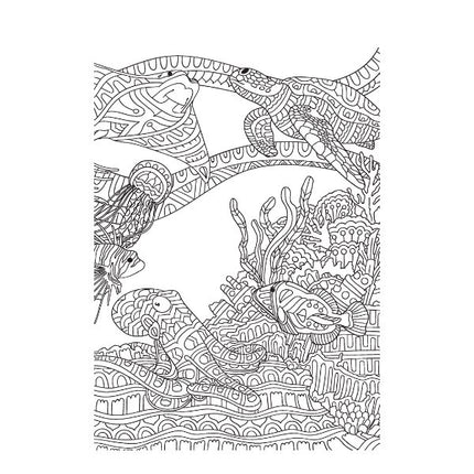 A4 Life in The Ocean Advanced Colouring Book
