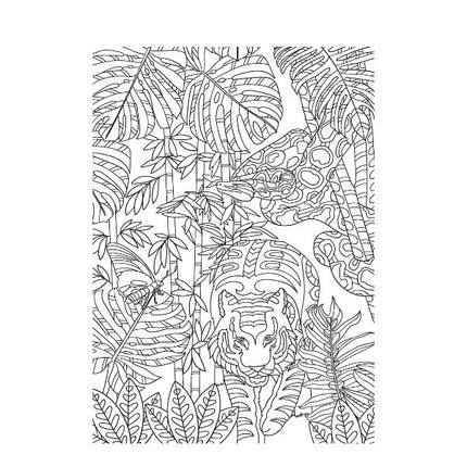 A4 Life in The Jungle/Ocean Advanced Colouring Book