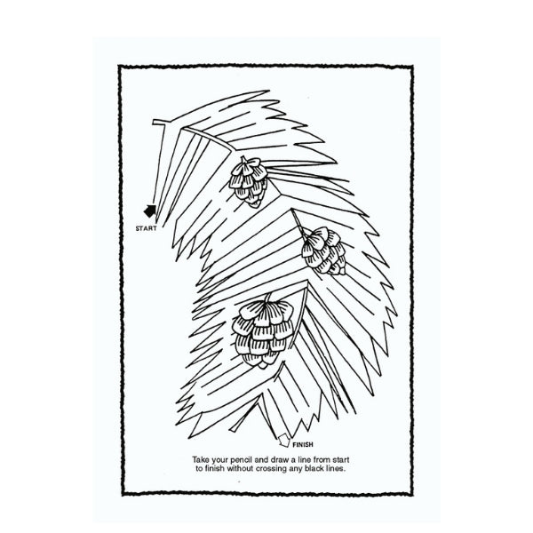 A4 Jumbo Activity Book