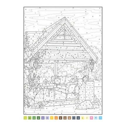 A4 Animals/Nature Advanced Colour by Numbers Book