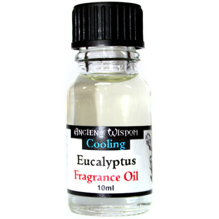 Fragrance Oil - Eucalyptus