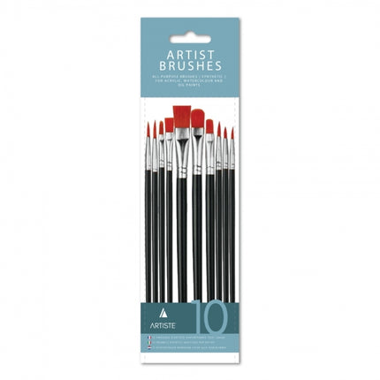 10 Artist Paint Brushes Set
