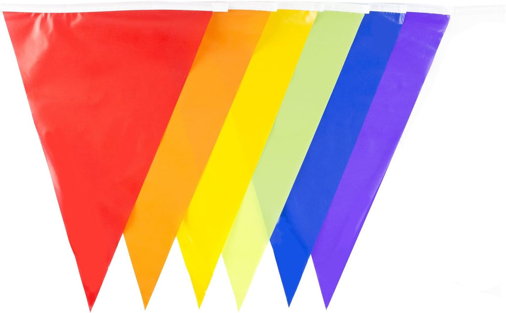 Multicoloured 10m Triangle Bunting