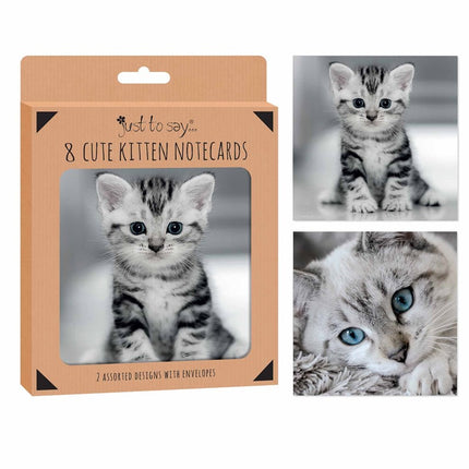 8 Kittens Notecards