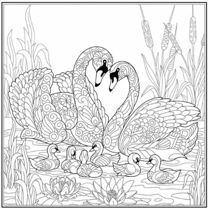 Peace Love Advanced Colouring Book