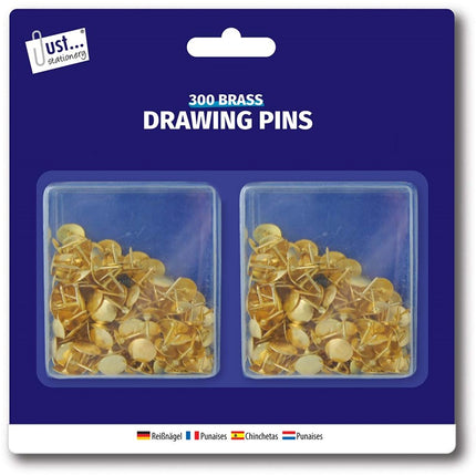 300 Domed Drawing Pins