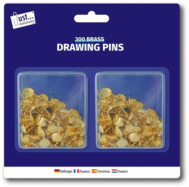 300 Domed Drawing Pins