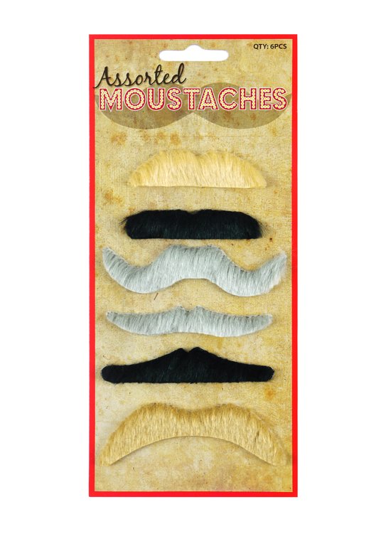 6 Assorted Coloured Moustaches