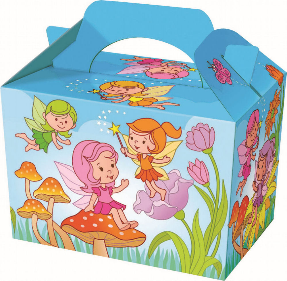 10 Fairy Party Lunch Boxes